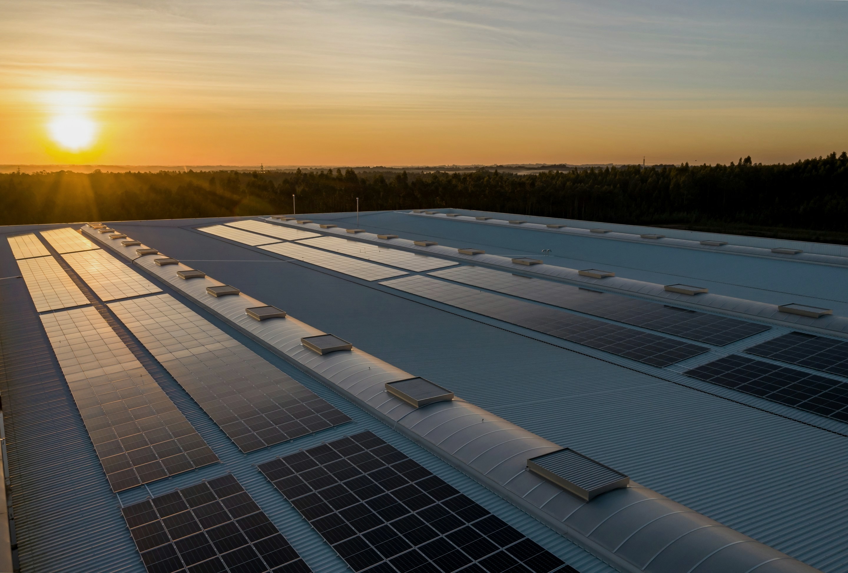 Solar panels on a large roof at golden hour.