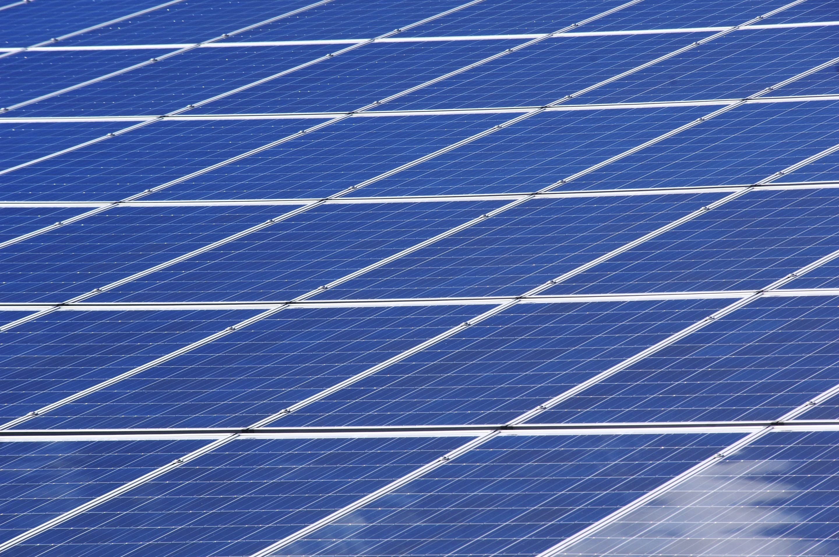 Close-up of blue photovoltaic cells on a solar panel — the material that goes to licensed recycling when a panel cannot be reused.